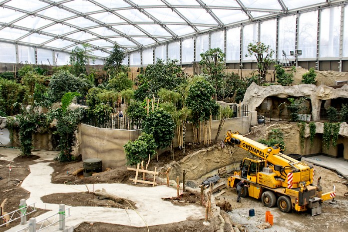 Bau Gondwanaland im Zoo Leipzig
