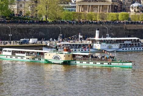 Flottenparade der Sächsischen Dampfschifffahrt Dresden