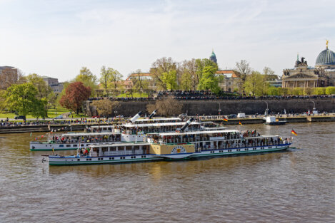 Flottenparade der Sächsischen Dampfschifffahrt Dresden