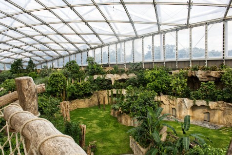 Eröffnung des Gondwanalandes im Zoo Leipzig